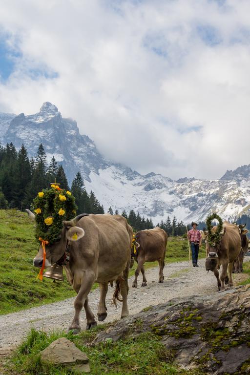 Ferienhaeuser Tschofen Garfrescha Sankt Gallenkirch Buitenkant foto